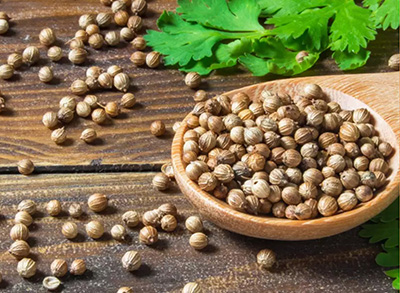 Coriander Seeds